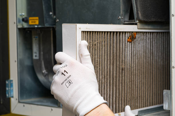 Best Professional Duct Cleaning Services  in Marshall, TX